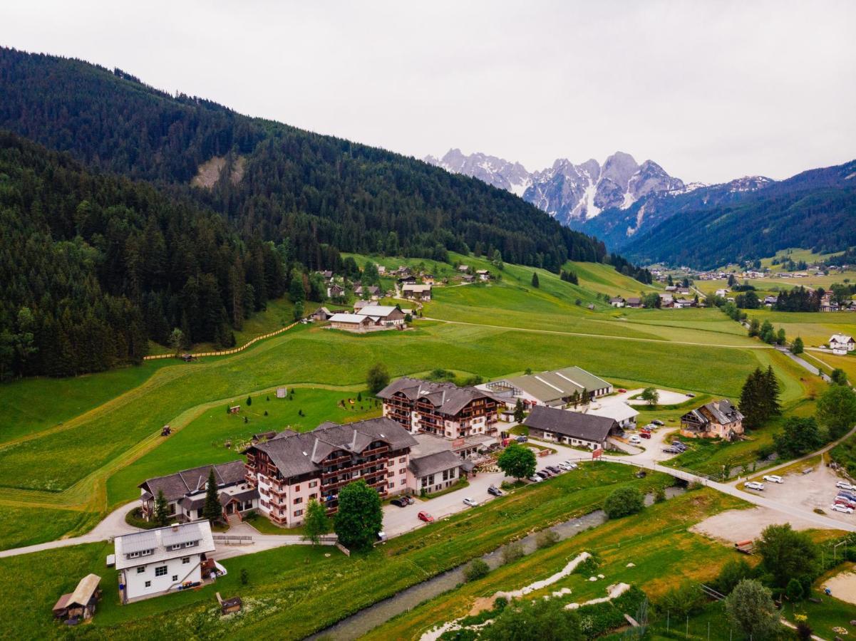 Modern Studio-Apartment In Gosau Near Hallstatt المظهر الخارجي الصورة